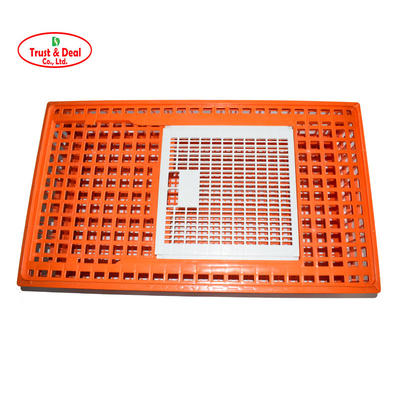 CE certified HDPE plastic live chicken transport crate