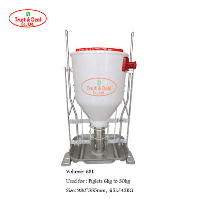 304# Stainless steel wet dry feeder for pig farms