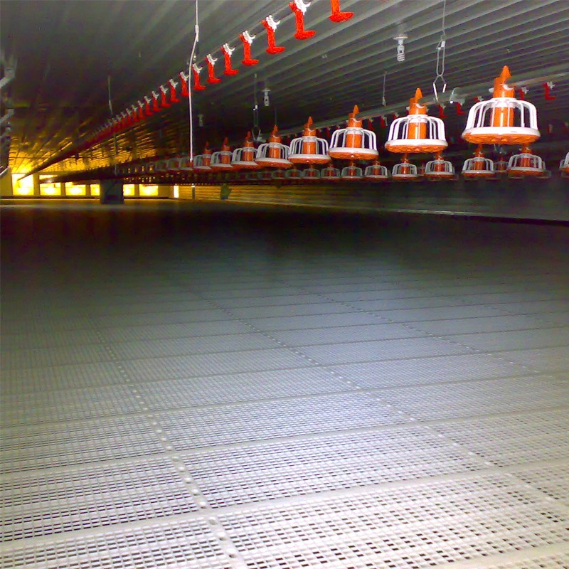 Trust&Deal Breeding Equipment slatted floor series for farm